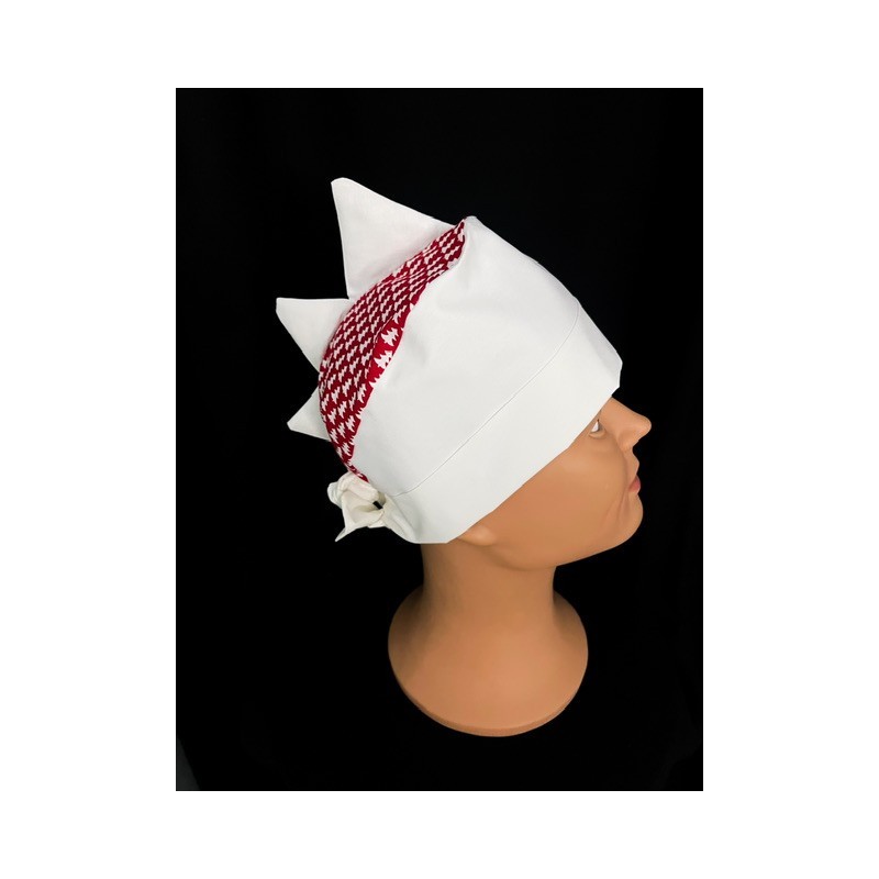 Calot bloc opératoire Dinosaure Noel