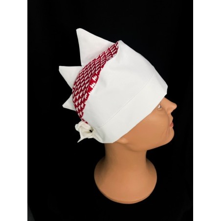 Calot bloc opératoire Dinosaure Noel